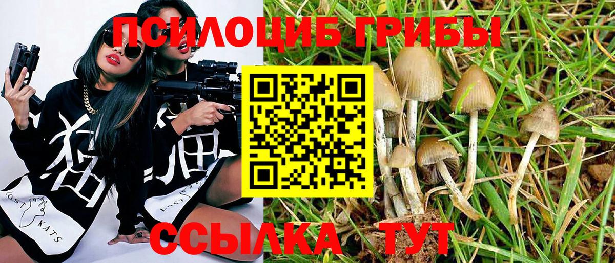 Видное  Псилоцибиновые грибы MAGIC MUSHROOMS  Вход с VPN 